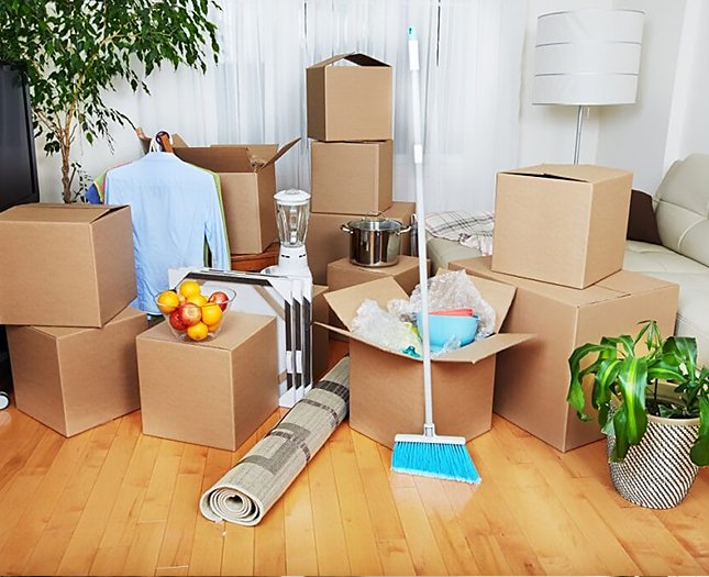 move in
